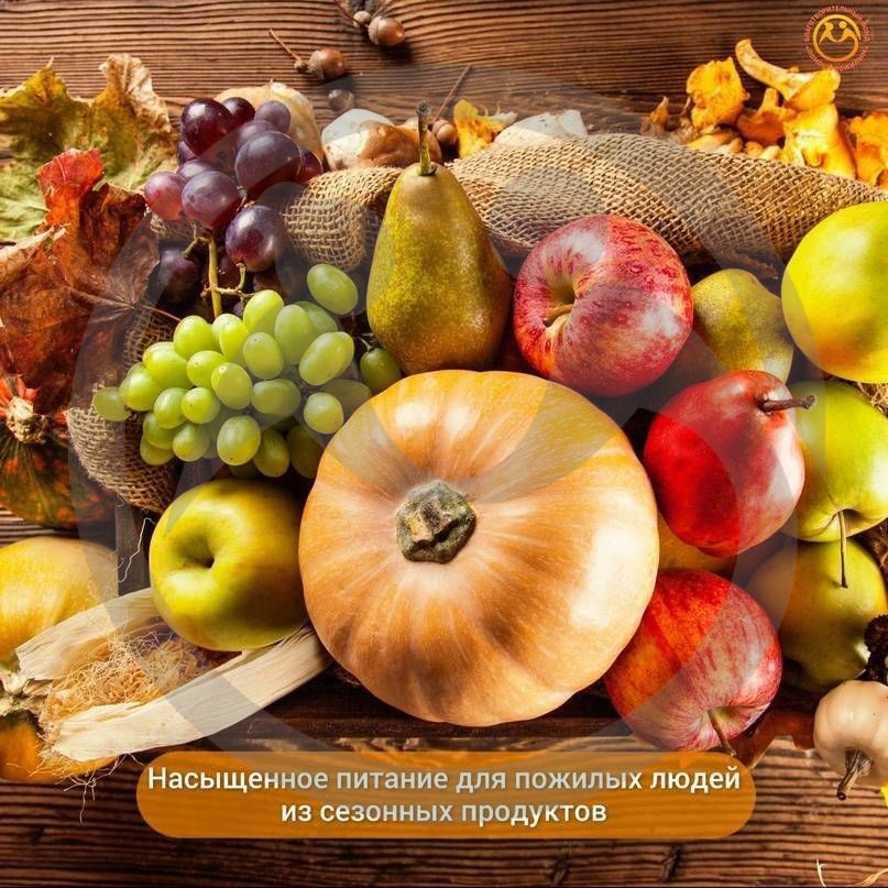 Сезонное питание для пожилых людей