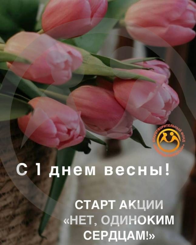 Старт акции "Нет одиноким сердцам!"