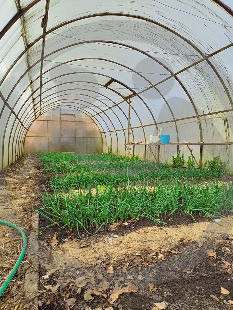 ГБСУСО КО "Дом социального ухода "Солнечный ветер"