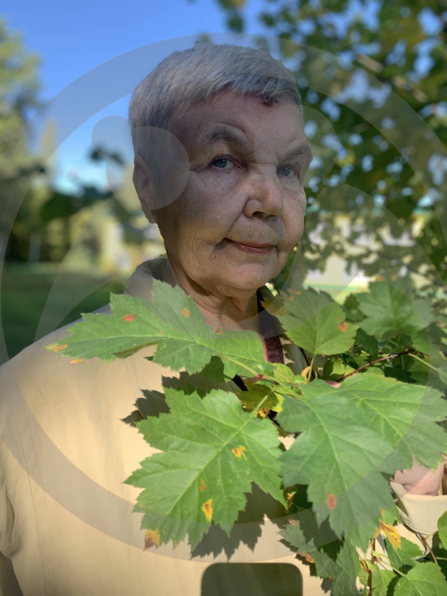 Агеева Анна Александровна, «Красота, да и только!»