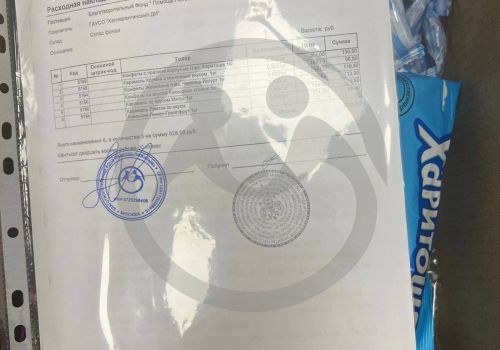 Новогодние подарки для  ГАУСО "Хапчерангинского психоневрологического дома-интерната"