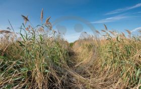 За что могут конфисковать неиспользованные земли с 1 сентября?