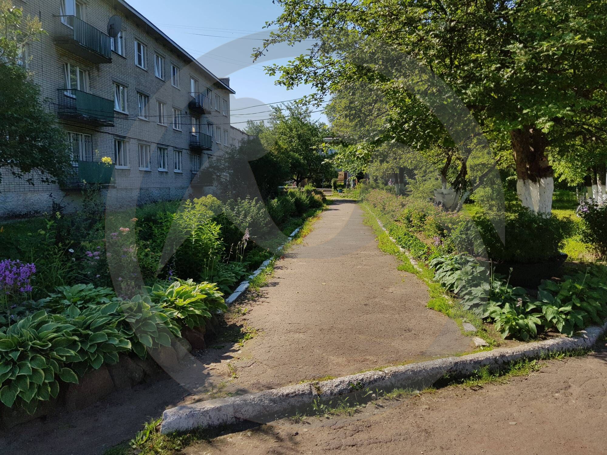 В Сясьстройском психоневрологическом интернате люди ждут 100 новых книг