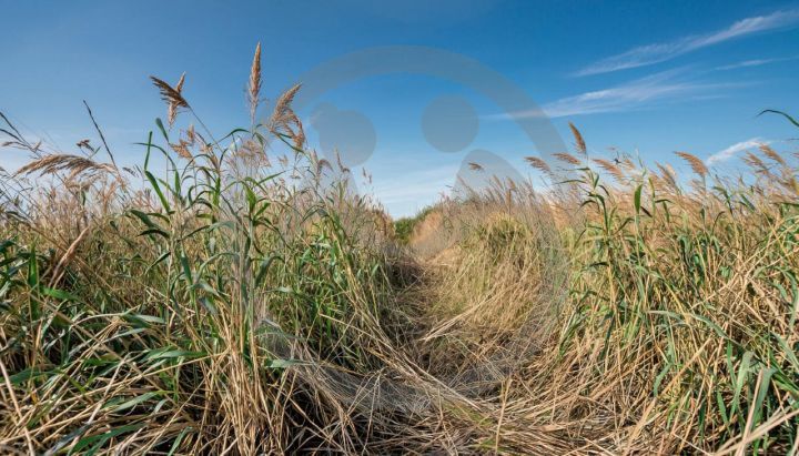 За что могут конфисковать неиспользованные земли с 1 сентября?