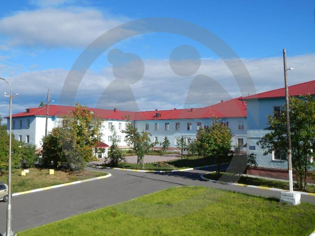 ГОАУСОН "Кандалакшский ДИПИ" нуждается в подгузниках и интерьерных картинах 