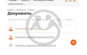 Важный вопрос! Можно ли верить отчетам на сайте нашего Фонда?