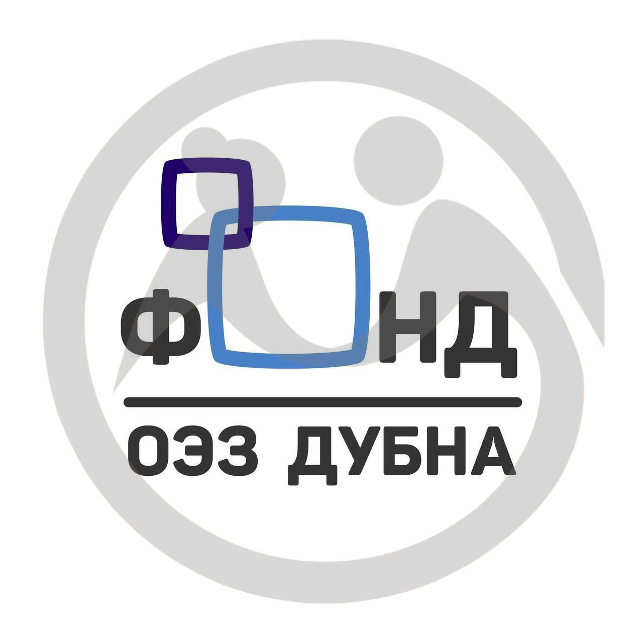 Фонд содействия развитию особой экономической зоны "Дубна"; образованию, науке, экологии, спорту, культуре; поддержки детей, подростков, молодежи и ветеранов - "ОЭЗ Дубна"