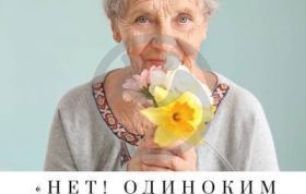 Благотворительная акция "Нет, одиноким сердцам!"