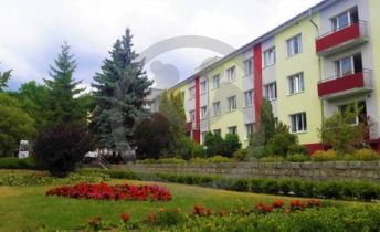 ГБСУСО КО "Социальный пансионат "Сосновая усадьба"