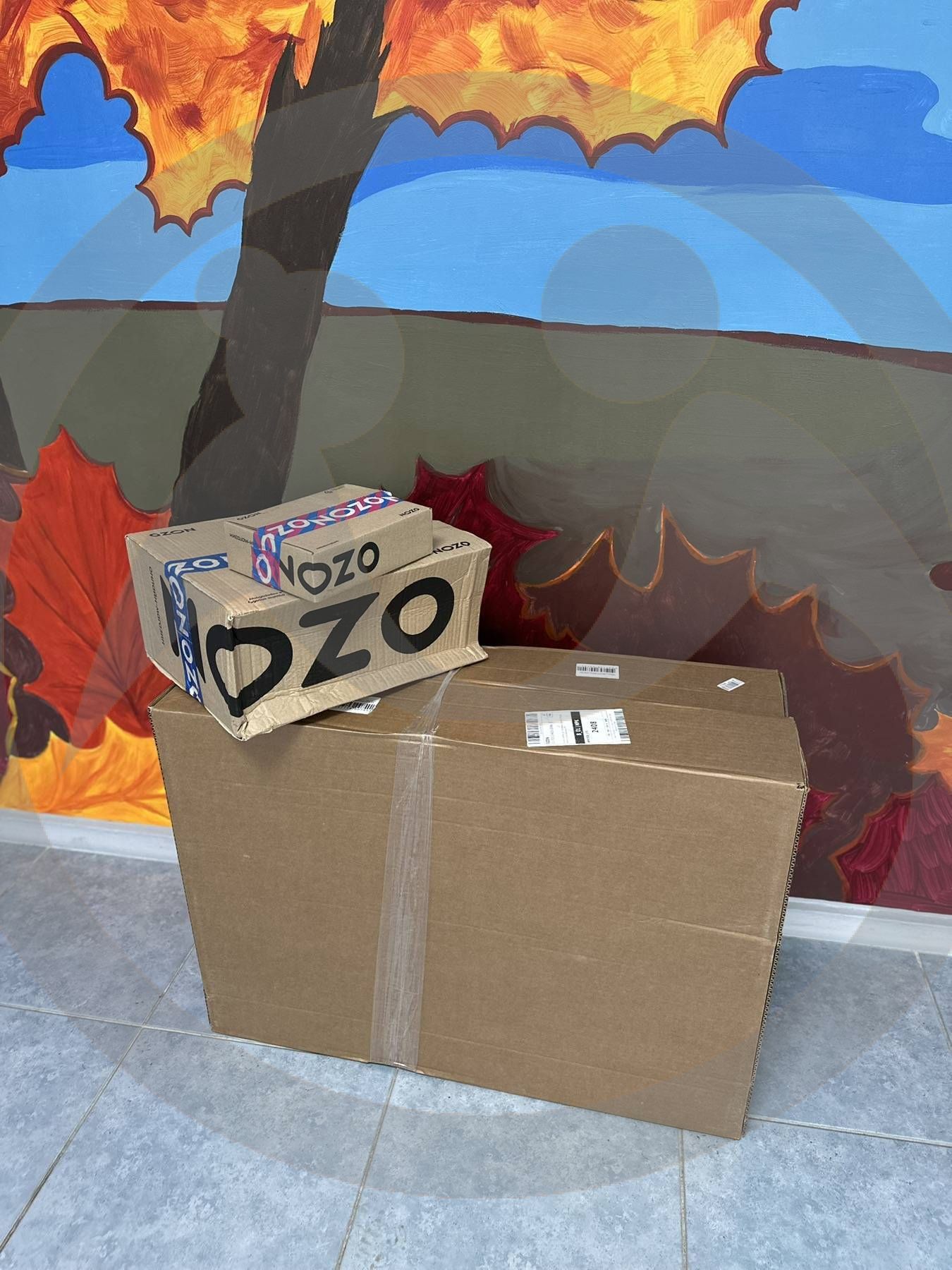 Помощь для ОГБУСО "Ново-Ленинского дома - интерната для престарелых и инвалидов"