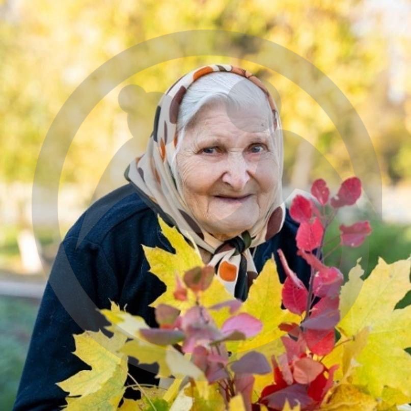 Как подарить пожилым людям незабываемые эмоции этой осенью?