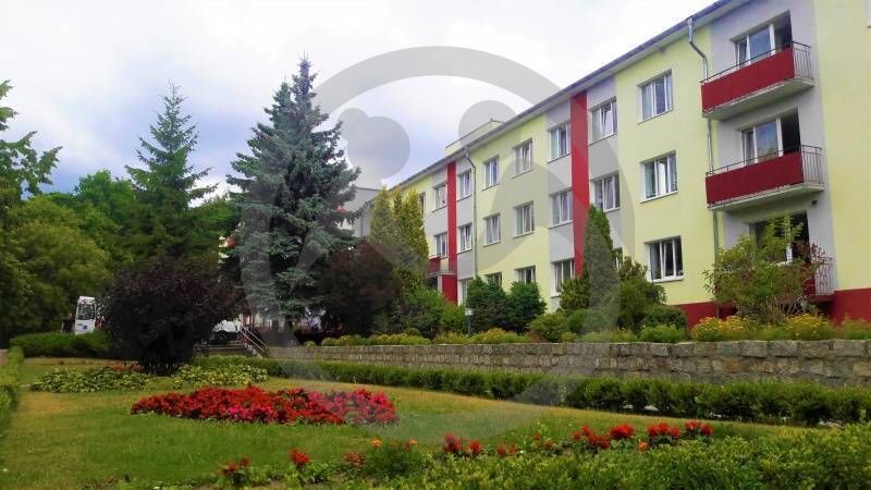 ГБСУСО КО "Социальный пансионат "Сосновая усадьба"