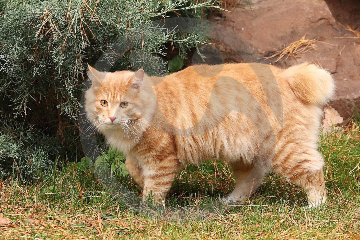 "Я не верю людям".