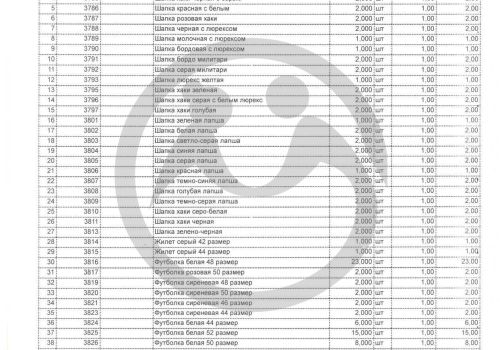 Вещевая помощь для АНБО "Опека"