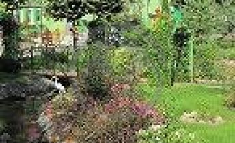 ГБСУСО КО "Специальный пансионат "Долгоруково"