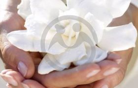 Международный день благотворительности