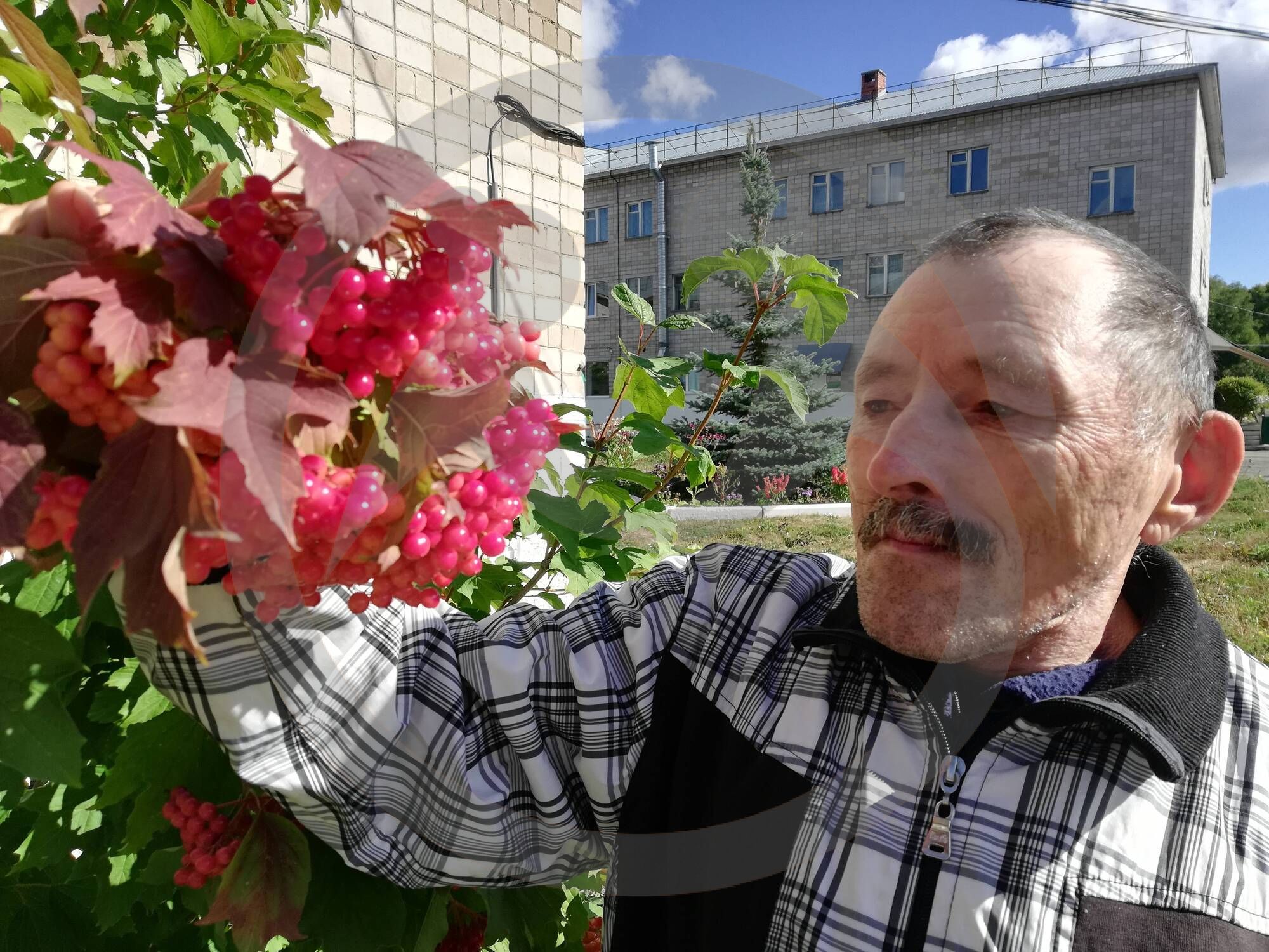 килич гузель анфаровна