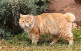 "Я не верю людям".