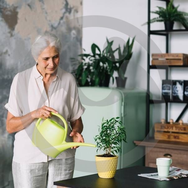 Важность посильного труда для пожилого человека